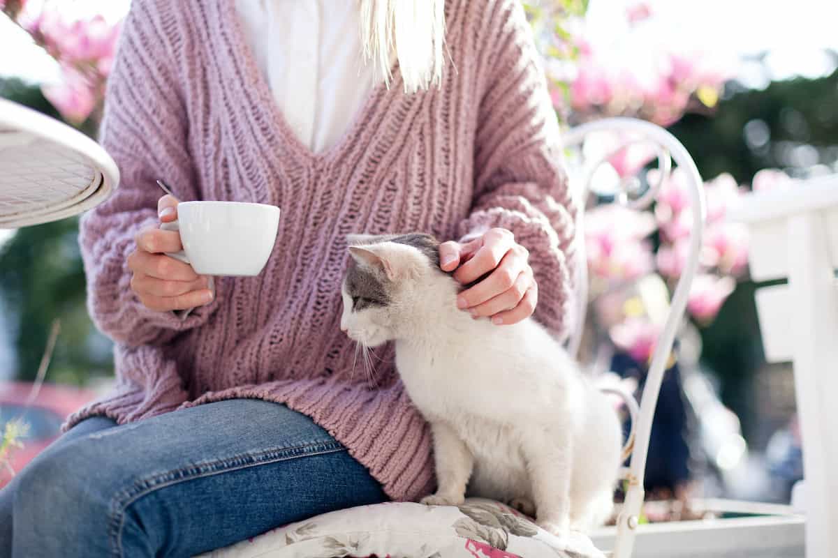 Young woman is drinking coffee and stroking cat in spring cafe on city streets. Girl is sitting outdoors in blooming garden with pink magnolia flowers. Spring is time for evaluating Birth control alternatives.