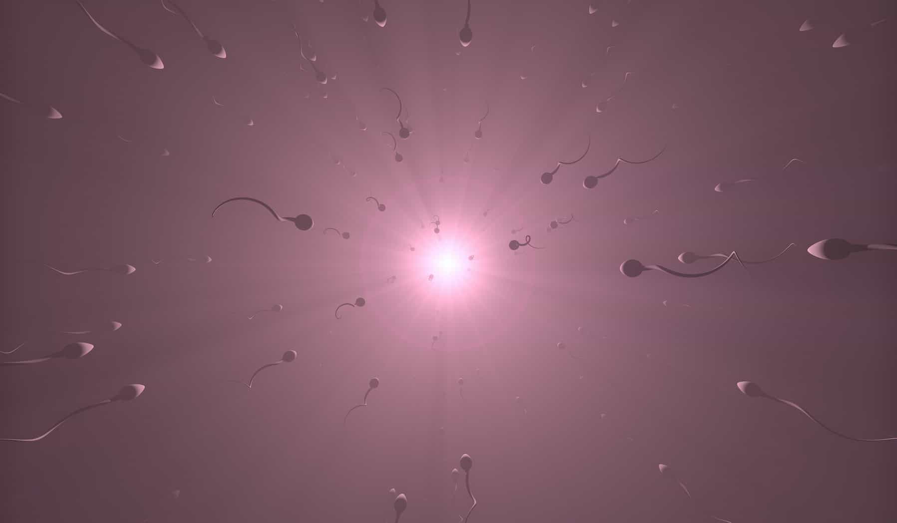 sperms to light (ovum)