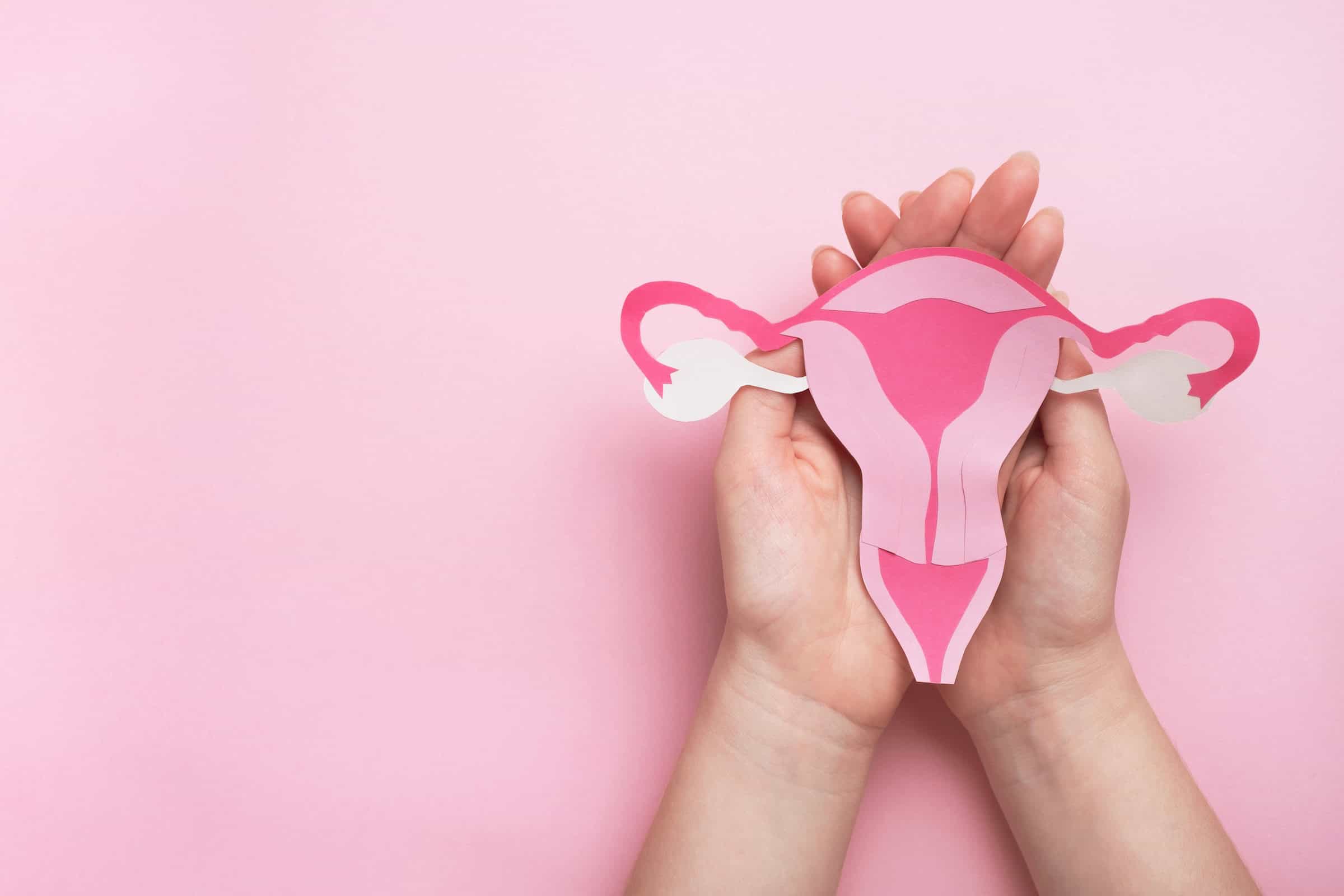 Pink background and hands clasped with a paper cut-out design of a woman's reproduction organs.